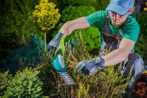 landscaping services Woodhaven